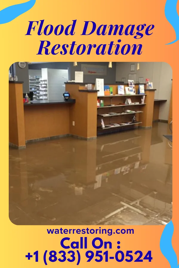 Flood Damage Restoration in Coolidge, KS