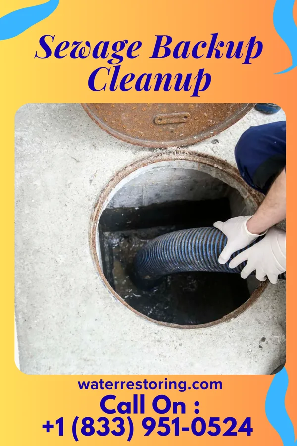 Sewage Backup Cleanup in Coolidge, KS